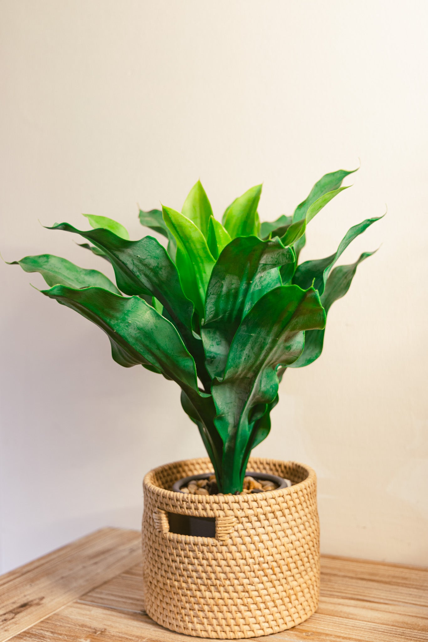 Brazilian Fern Faux Plant 55cm