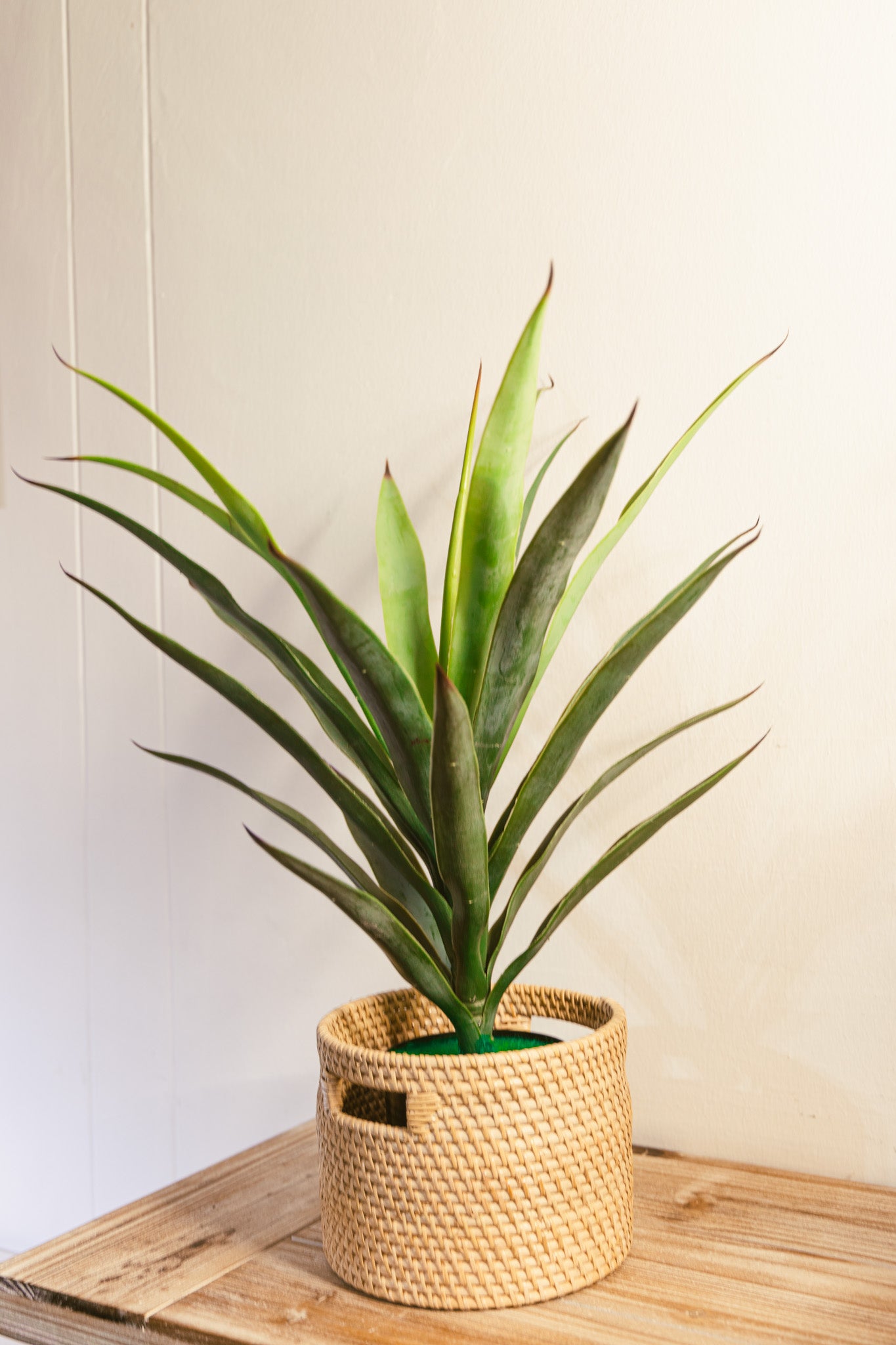Agave Faux Plant 55cm