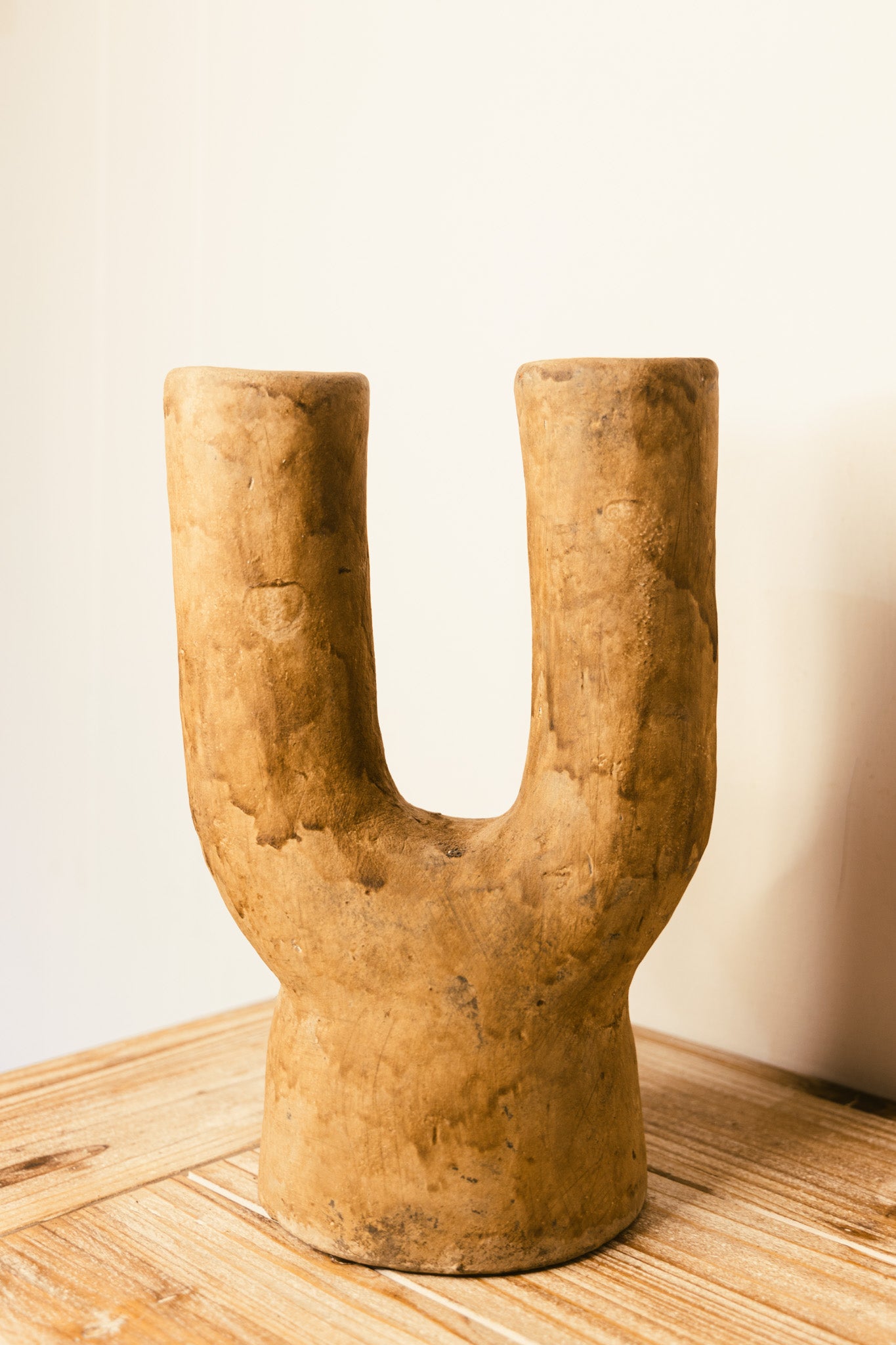 Oasis Branch Vase