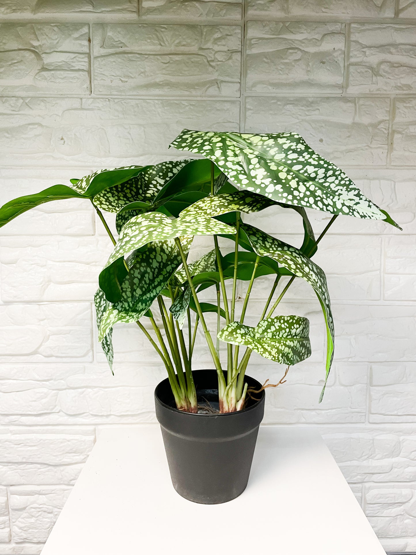 Spotted Caladium Faux Plant