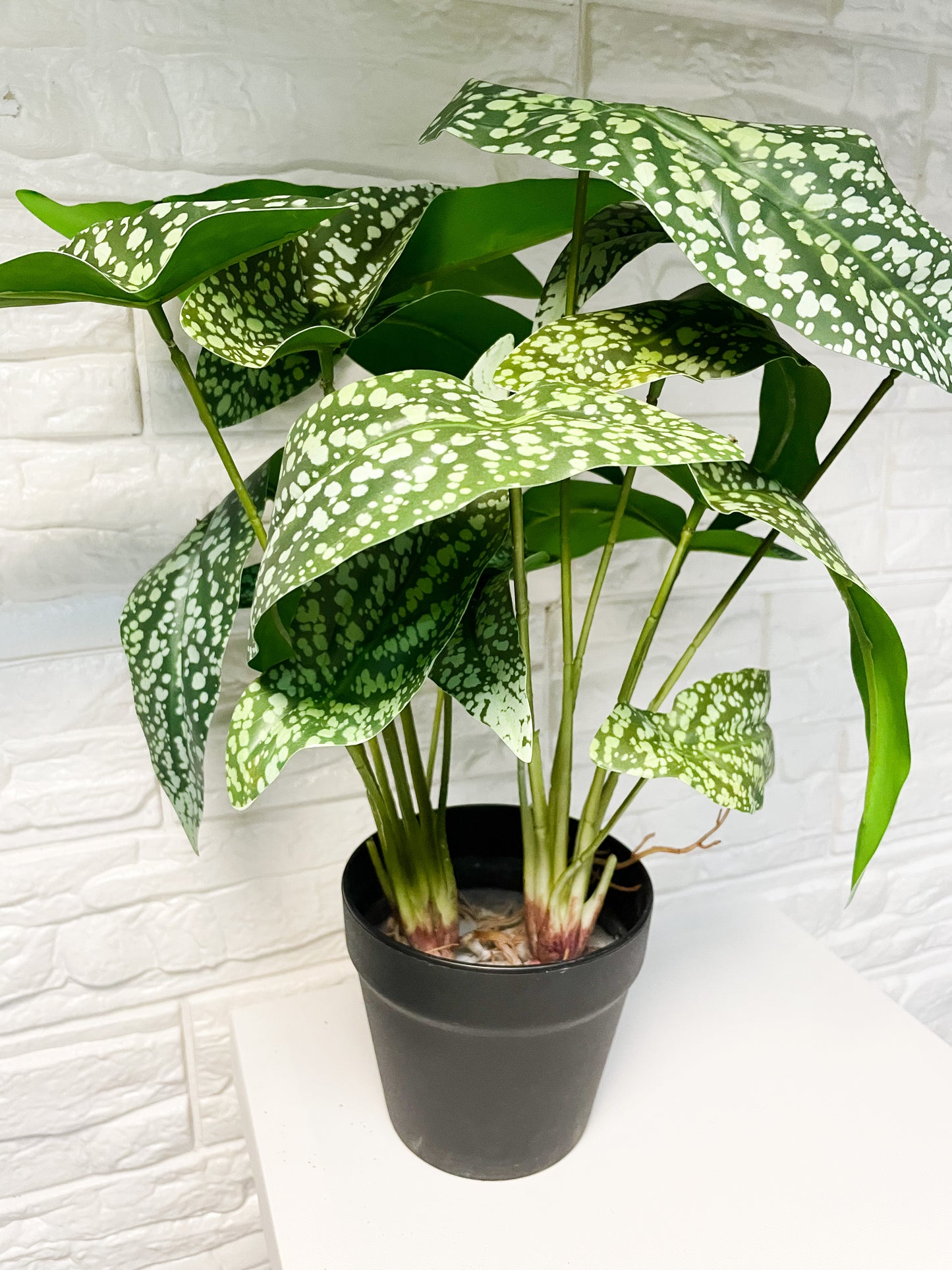 Spotted Caladium Faux Plant