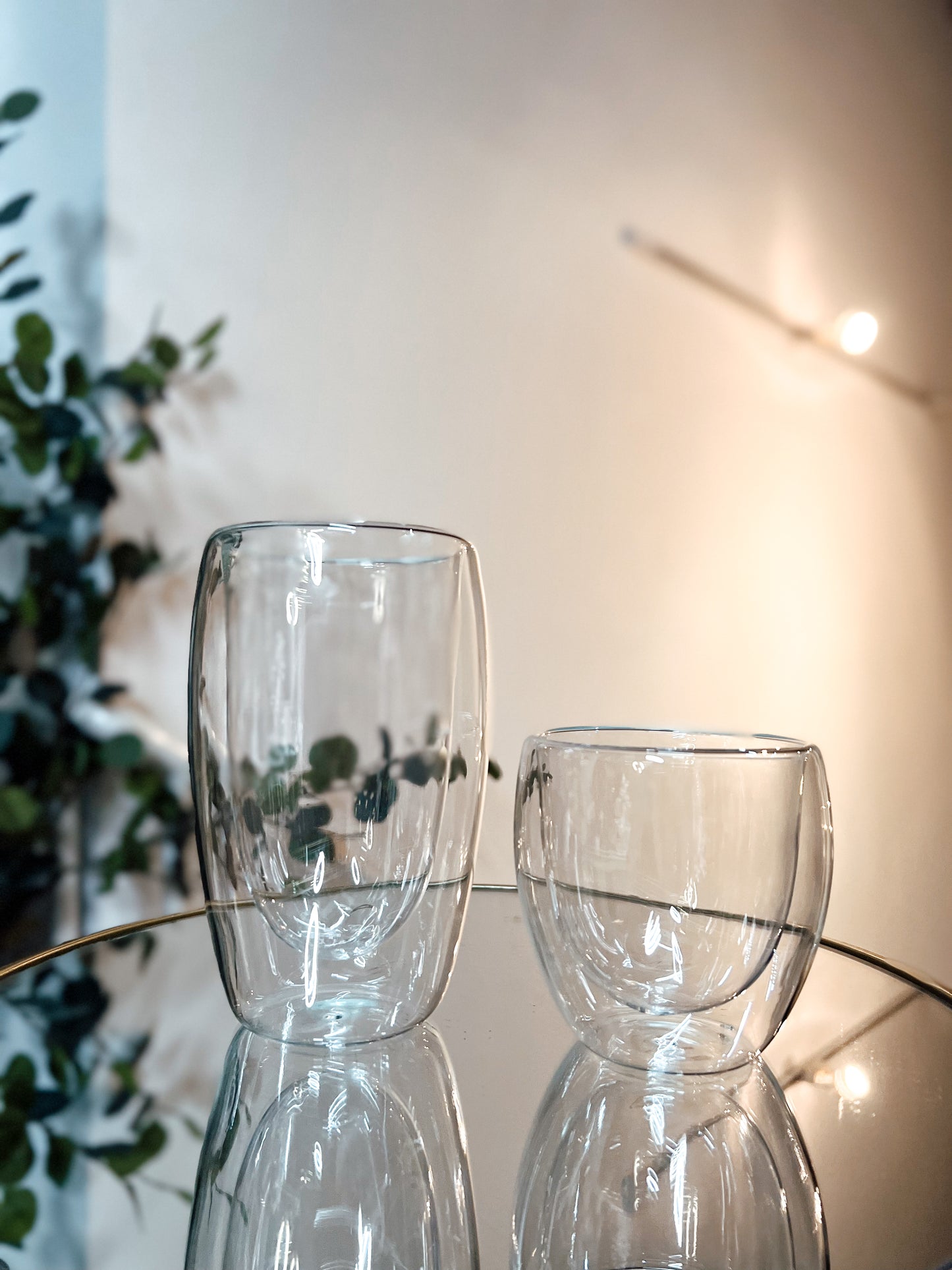 Double Wall Glass Cup