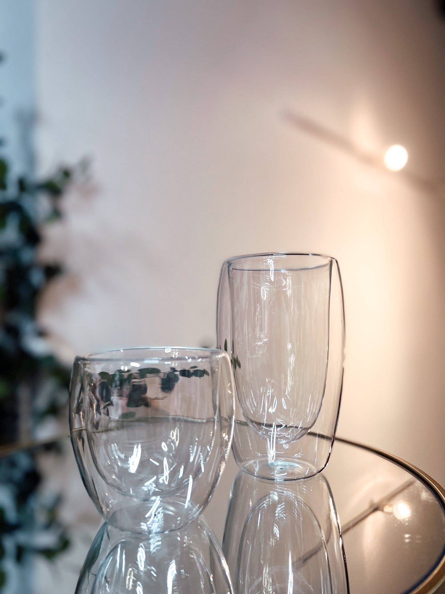 Double Wall Glass Cup
