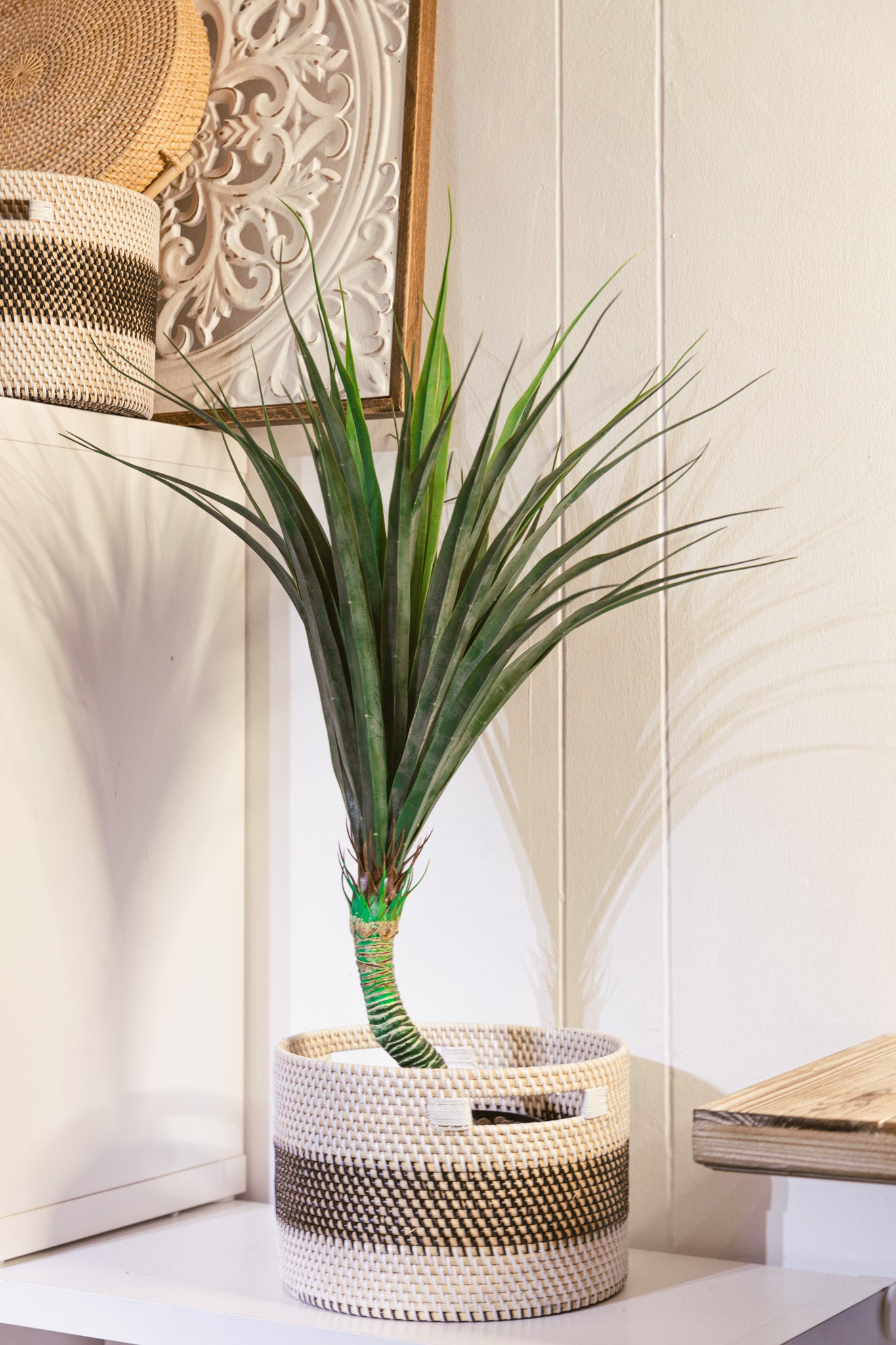 Dragon Fern Faux Plant 75cm