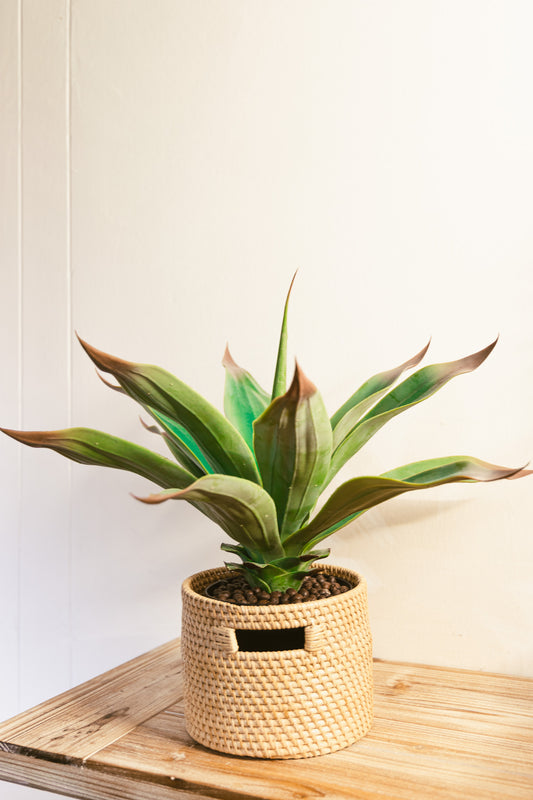Crown Orchid Fern Faux Plant 50cm