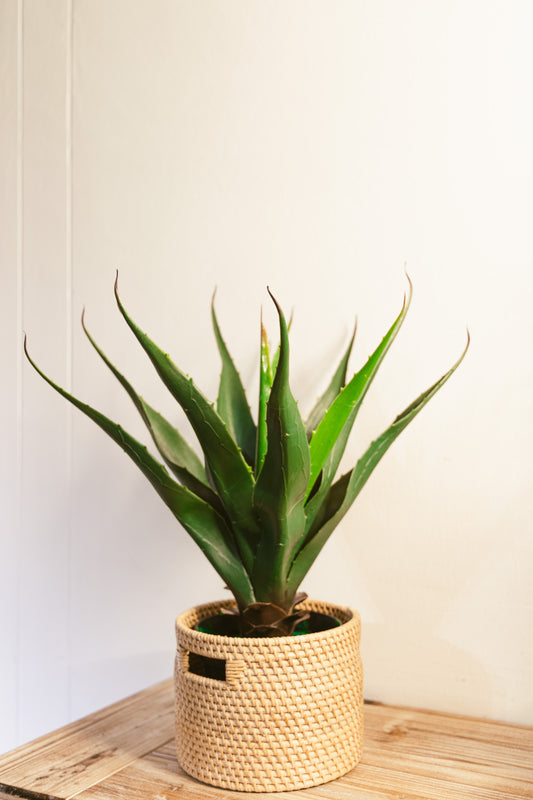 Yucca Mini Faux Plant 30cm