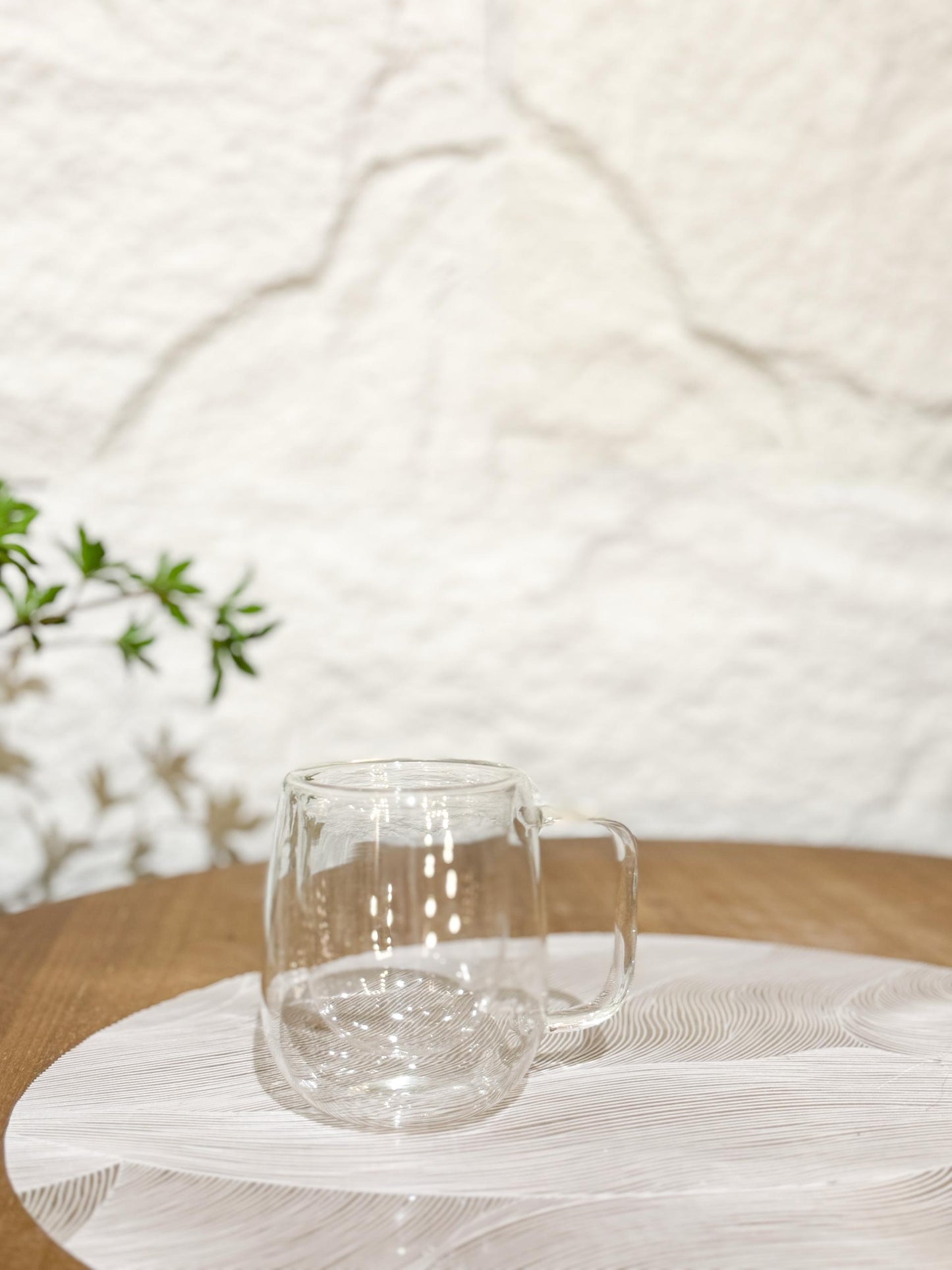 Double Wall Glass Coffee Mug
