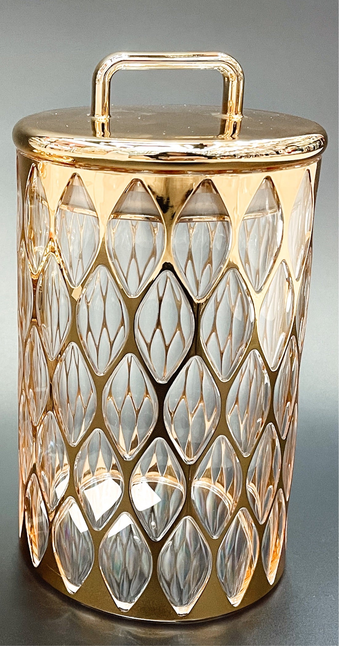 Gold Cage Acrylic Airtight Canister