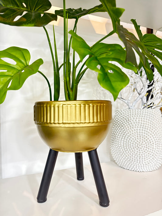 Gilded Pot
